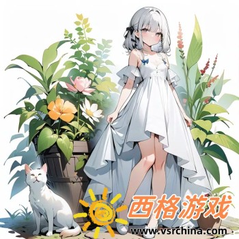 双核浏览器